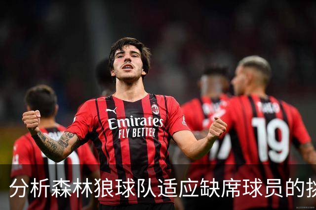 分析森林狼球队适应缺席球员的挑战与鲍尔的回应